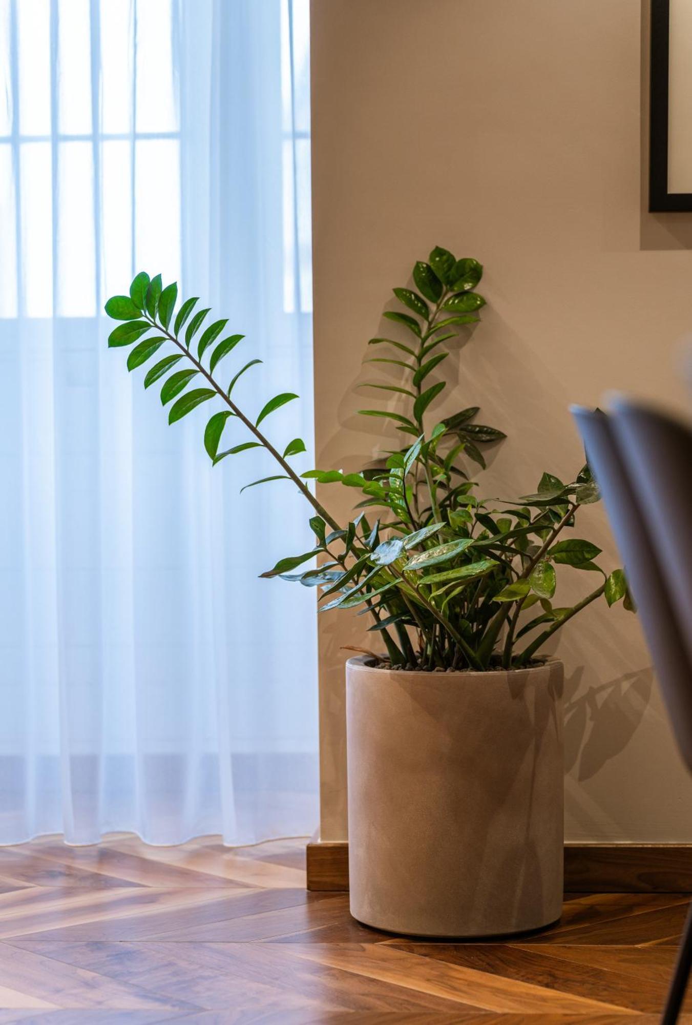 Apartamento Trabuxu Boutique Living Valeta